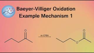 BaeyerVilliger Oxidation Example Mechanism 1  Organic Chemistry [upl. by Bellaude]