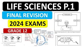 LIFE SCIENCES GRADE 12 P1  GRADE 12 LIFE SCIE P1 GRADE 12 FINAL EXAMS NOVEMBER PREP THUNDEREDUC [upl. by Forelli]