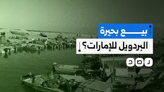 ما حقيقة بيع بحيرة البردويل للإمارات؟ [upl. by Filemon730]