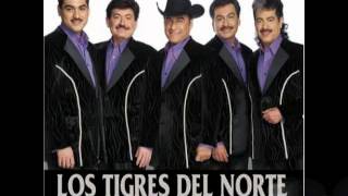 Me Dicen PerseveranteLos Tigres del Norte Album Directo al CorazonAño 2005 [upl. by Noek]