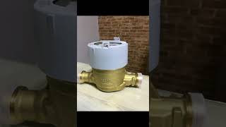 V200 Elster Honeywell Water Meter [upl. by Xirtaeb]