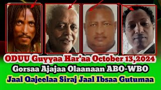 Gorsaa Ajajaa Olaanaan ABOWBO October 132024 Jaal Qajeelaa Siraj Jaal Ibsaa Gutumaa [upl. by Kathie]