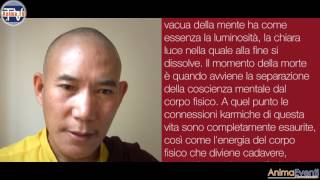 Chamtrul Rinpoche  Il processo della morte nel Buddismo Tibetano Eng  sub Ita [upl. by Lohcin]