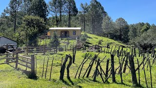 Hermosa la vida de la sierra de alamos sonora [upl. by Chantalle]