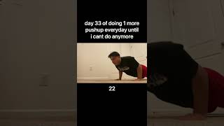 day 33 of doing 1 more pushup everyday until i cant do anymore [upl. by Nathanial]