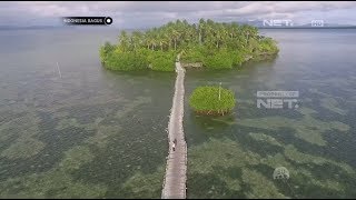 Keindahan Tiada Tandingan Alam Maluku  Indonesia Bagus [upl. by Ahsitul352]