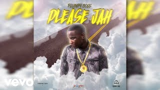 Plumpy Boss  Please Jah Official Audio [upl. by Tj]