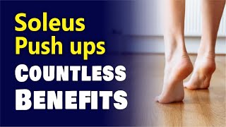 What is Soleus Push Ups  Soleus Push Ups Exercise  Soleus Push Up benefits [upl. by Ainattirb]