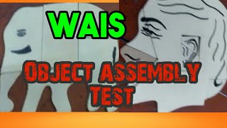 WAIS  Object assembly test [upl. by Rhu319]