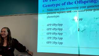 Introduction to Genetics Complete Dominance Monohybrids Part 2 [upl. by Yznyl638]