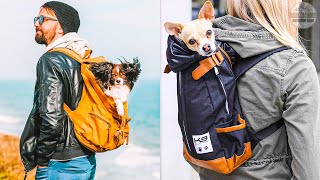 Best Dog Backpack Carriers 2023  Top 5 Best Dog Carrier Backpacks for Hiking [upl. by Damalus]