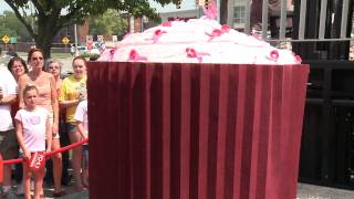 Largest Cupcake made by NH Company makes Guinness Book of World Records [upl. by Claudetta]