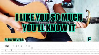 I Like You So Much Youll Know It  Fingerstyle Guitar Tabs Chords [upl. by Bernete]