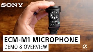 Sony ECMM1 Digital Shotgun Microphone Demo with Miguel Quiles [upl. by Googins]