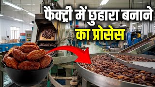 देखिए छुहारा कैसे बनता है। How Dry Dates Are Made from Tree  Dry Dates [upl. by Lichtenfeld902]