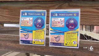 City of Pismo Beach steps up efforts to protect the clam population [upl. by Gninnahc662]