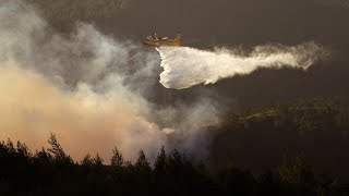 Gefährliches Pulverfass Im Süden Europas droht hohe Waldbrandgefahr [upl. by Navnod]