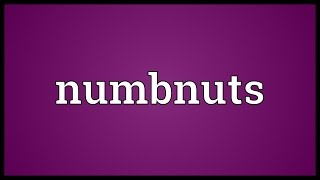 Numbnuts Meaning [upl. by Nileuqaj805]