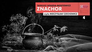 Znachor 04  Tadeusz DołęgaMostowicz  Audiobook po polsku [upl. by Iba]