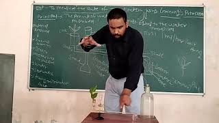 Practical Demonstration  measurement of transpiration by using Ganong Potometer  by Arvind Beniwal [upl. by Charmain]