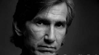 Townes Van Zandt  To Live Is To Fly live [upl. by Melba]