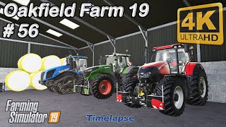 Weeds control spreading lime amp digestate animal care  Oakfield Farm 19  FS19 TimeLapse 56  4K [upl. by Aihsemaj276]