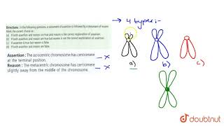 Assertion  The acrocentric chromosome has centromere at the terminal position [upl. by Amisoc]