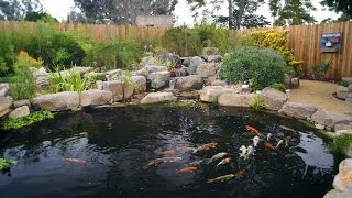 How To Build A Koi Pond  Final [upl. by Barthol]