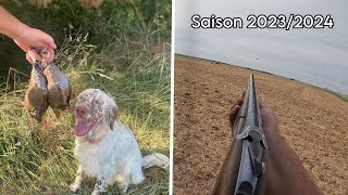 Ouverture chasse petit gibier au chien darrêt  Saison 20232024 [upl. by Annavahs]