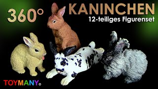 Toymany © 12 Kaninchen  Rabbits  Playset  Spielset  360° Nahaufnahme  Close up [upl. by Leavitt281]