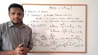 Amides  Preparation and Reactions [upl. by Atinihc109]