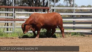 Lot 27 Locarno Saxon [upl. by Eizeerb]