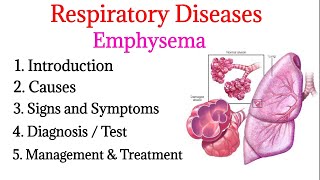 Emphysema  definition causes signs and symptoms diagnosis and treatment  Respiratory diseases [upl. by Olympie]