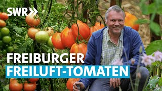 Der TomatenSpezialist 26  Mein leckerer Garten [upl. by Browning]