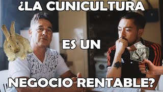 ¿Cómo hacer de la CUNICULTURA un NEGOCIO RENTABLE [upl. by Rorie]