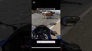 ওহ আল্লাহ গোরুটা কতোটা কষ্ট পাইচে😭😭😭 automobile bikereactions motorcycle motovlog bikerreaction [upl. by Selfridge]