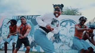 Harmonize X Konshens Weed Language Official Video Dance [upl. by Ardnasil875]