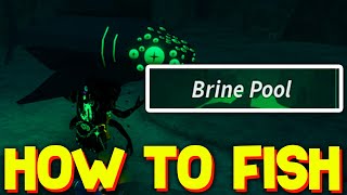 HOW TO FISH IN BRINE POOL in FISCH ROBLOX [upl. by Stefano]