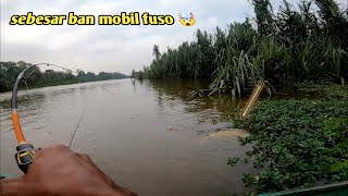 3 hari mancing ikan di sungai hutan pedalaman Jambipalembang [upl. by Atiroc120]