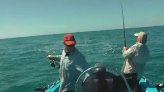 Weipa Fishing for Spanish Mackerel  Crazy Action at the 9 Mile [upl. by Belloir]