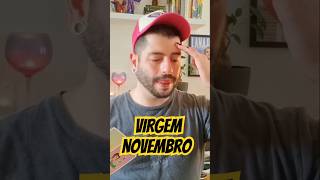 Virgem Novembro  tarot virgemtarot leituramensal [upl. by Lazaro]