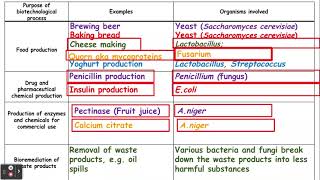 621 Cloning and biotechnology e and f Using microorganisms in biotechnology [upl. by Ahtibat801]