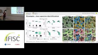 Mapping the distribution of seagrass meadows from space with deep convolutional neural networks [upl. by Ilhsa]