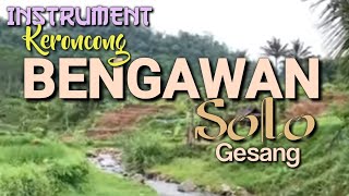 BENGAWAN SOLO  Gesang  Instrument Keroncong [upl. by Kessia]