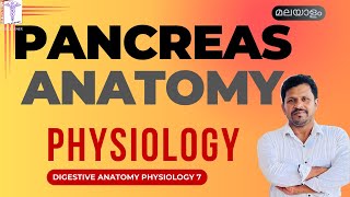 Pancreas Anatomy Physiology Malayalam Digestive Function of Pancreas Malayalam Digestion physiology [upl. by Gussy]