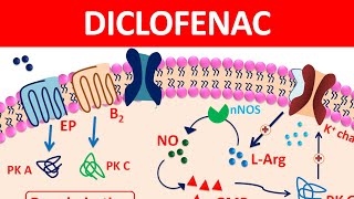 Diclofenac Tablets amp gel  New mechanism precautions amp side effects [upl. by Eriha]