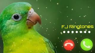 Abe Yar New Sms Ringtone Funny Ringtone Alarm Ringtone Call Ringtone Notification Ringtone 2024 [upl. by Heymann458]