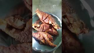 this andhrawala fish fry video [upl. by Ogren166]