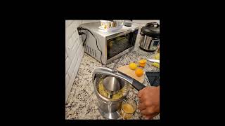 How to use a Breville Citrus Press food restaurant breville citrus [upl. by Ignazio838]