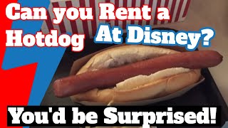 Spa Guy takes you to Disney World Magic Kingdom WedWay Hot Dog Rents Old Man Electric Cart [upl. by Ardnajela]